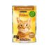 Friskies Turkey in Gravy Adult Cat Wet Food